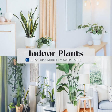 Indoor Plants Preset